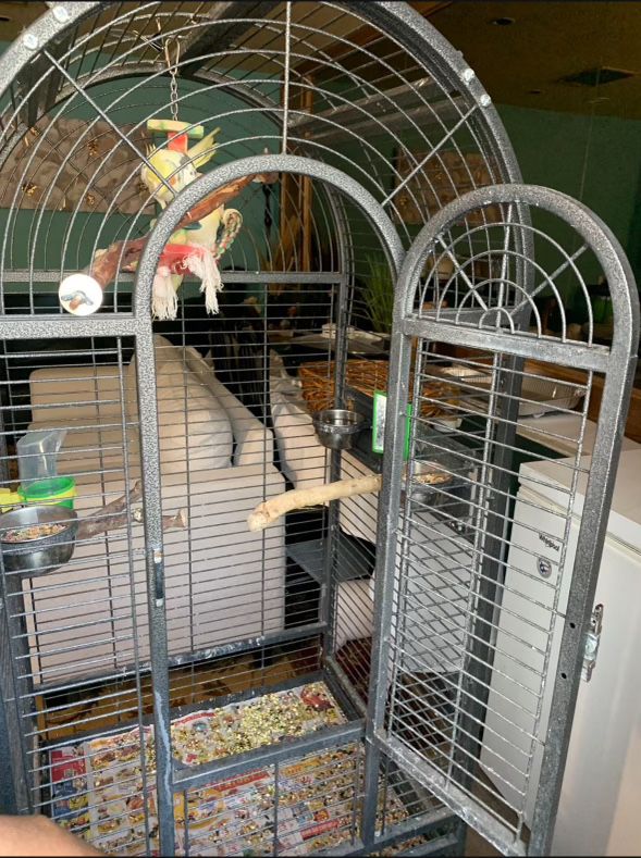 Bird Cage for Sale $80