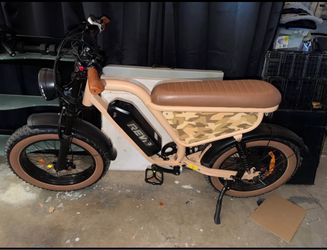 Electric bike with 2 child trailer