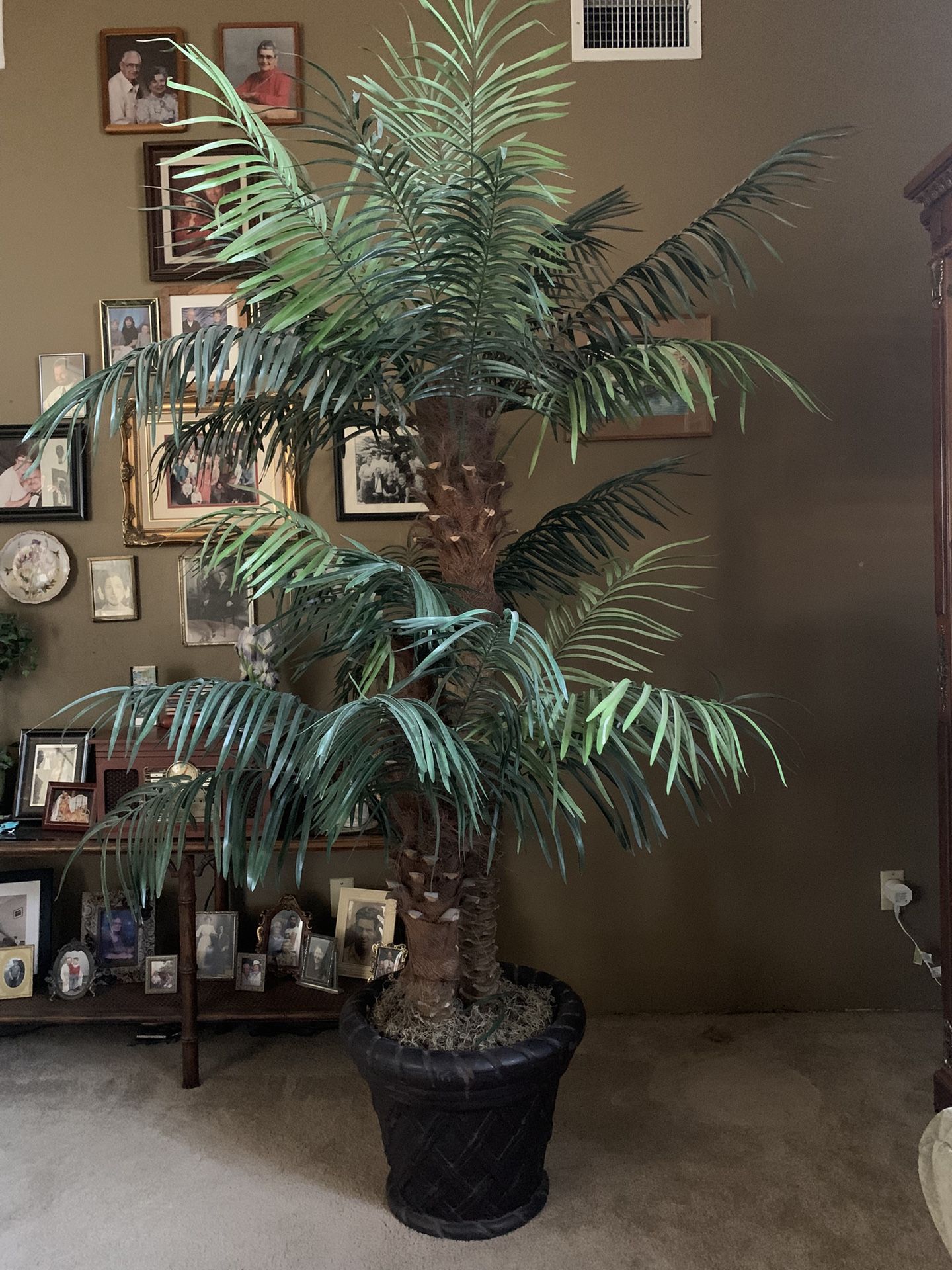 Looks Real w/out The Fuss