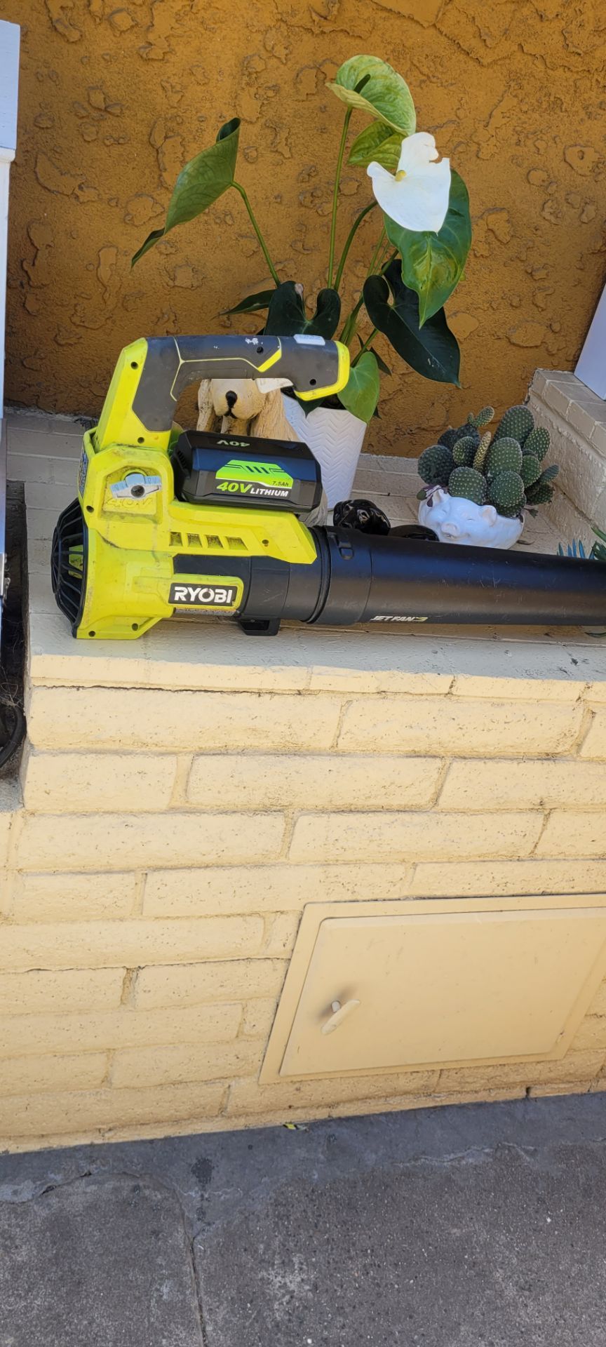 Ryobi blower