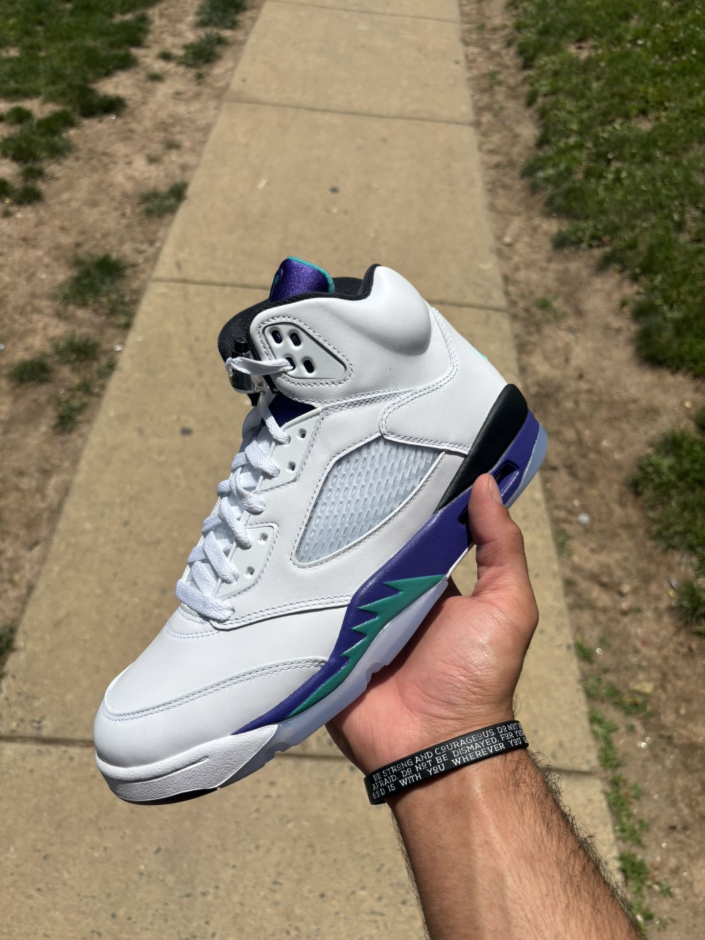 Jordan 5 Grapes