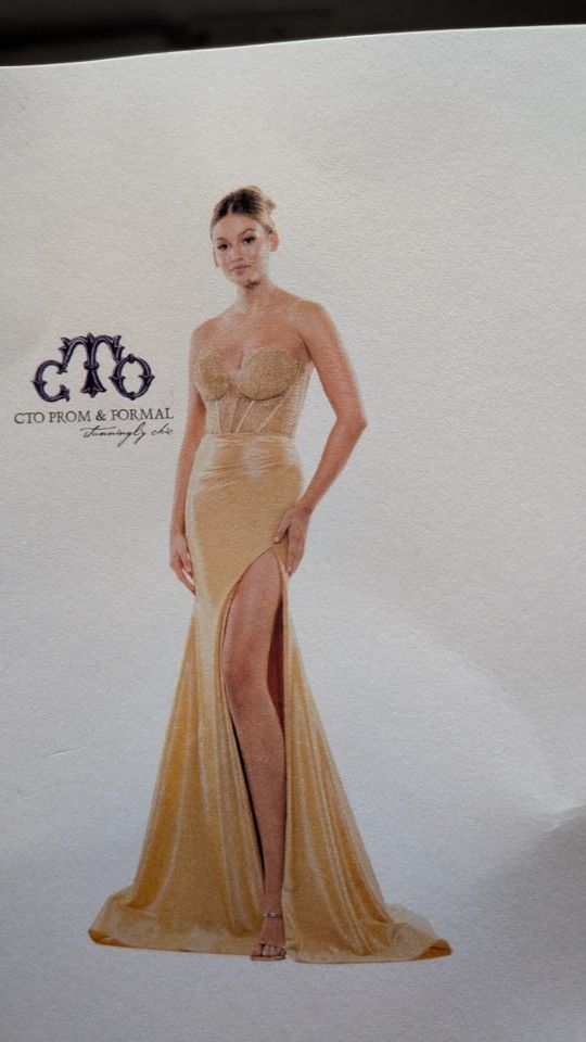 Gold Tone Floor Length Dress 