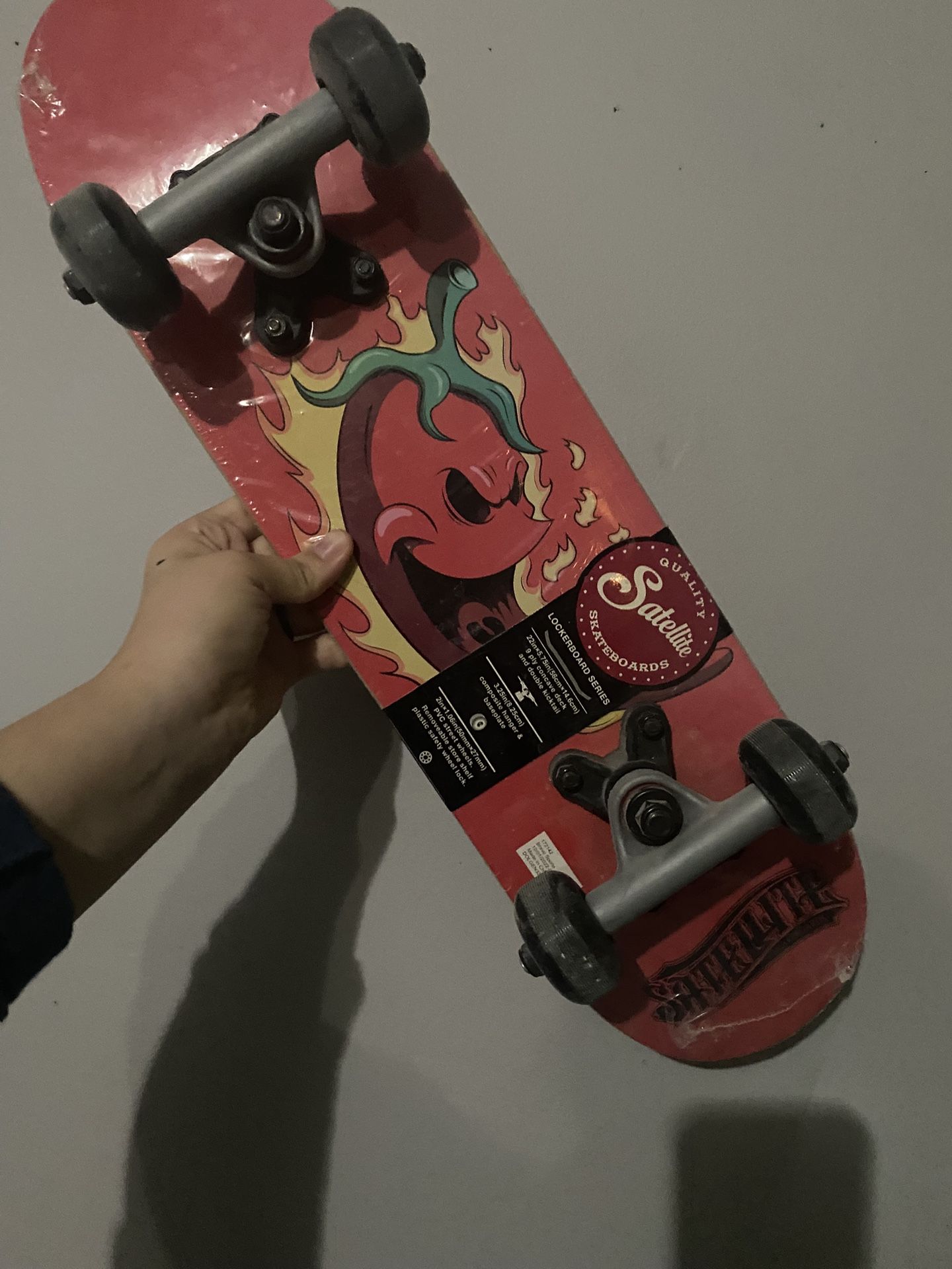 Skate Board