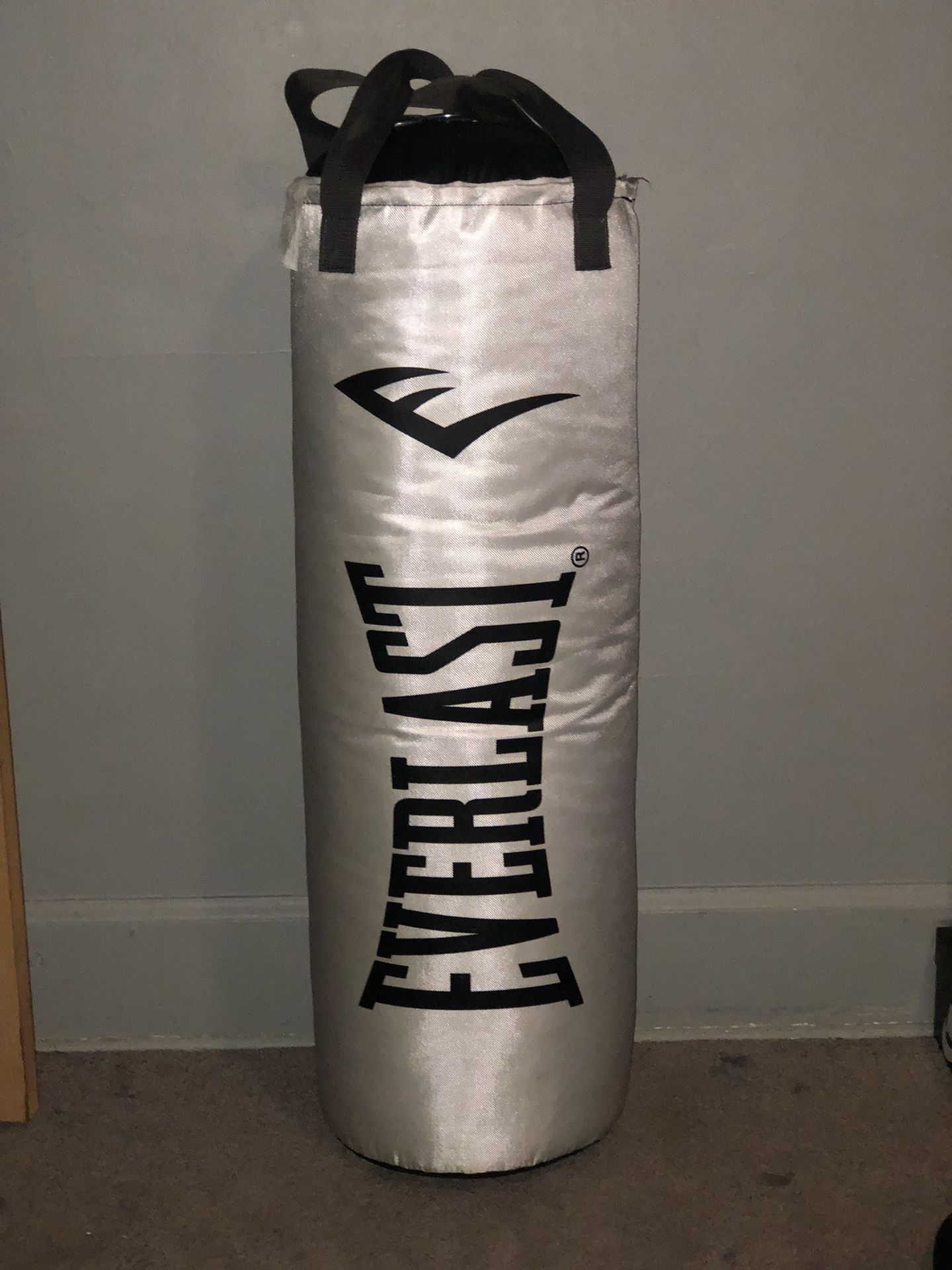 Everlast 80lb punching bag