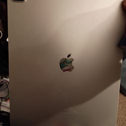 I Pad Pro 4th Gen 1tb Capacity 