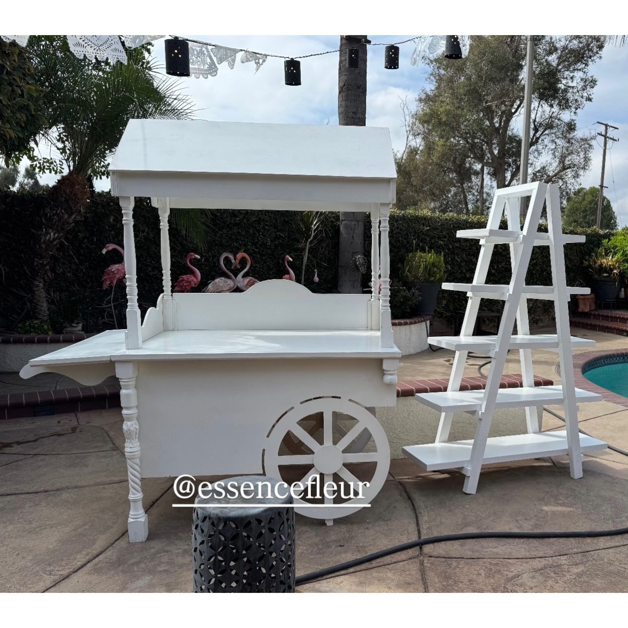 Candy Cart & Treat Ladder