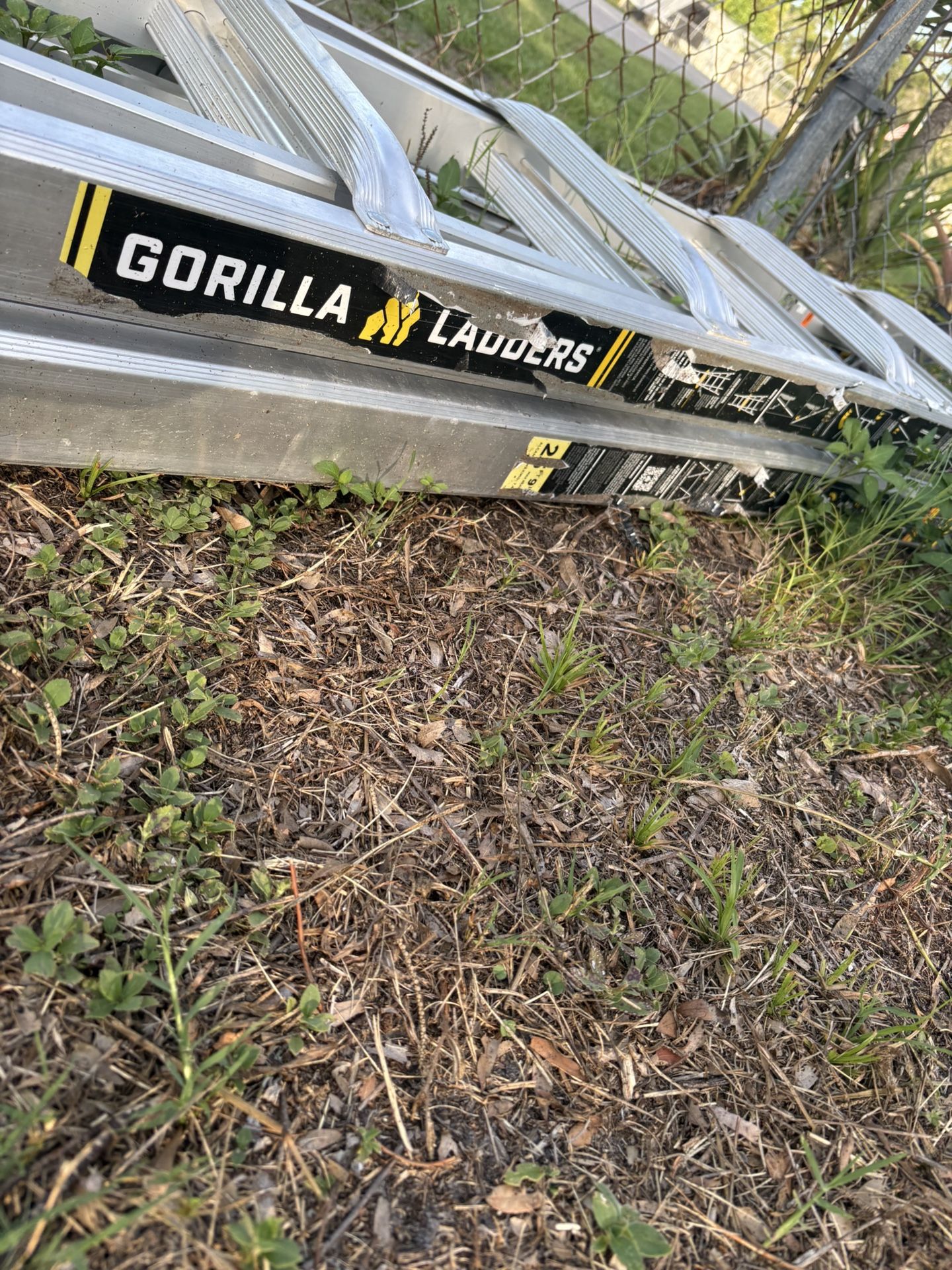 Gorilla Ladder (26ft)