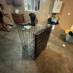 Dog cage