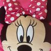 Disney Fan