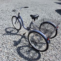 Trike Bike