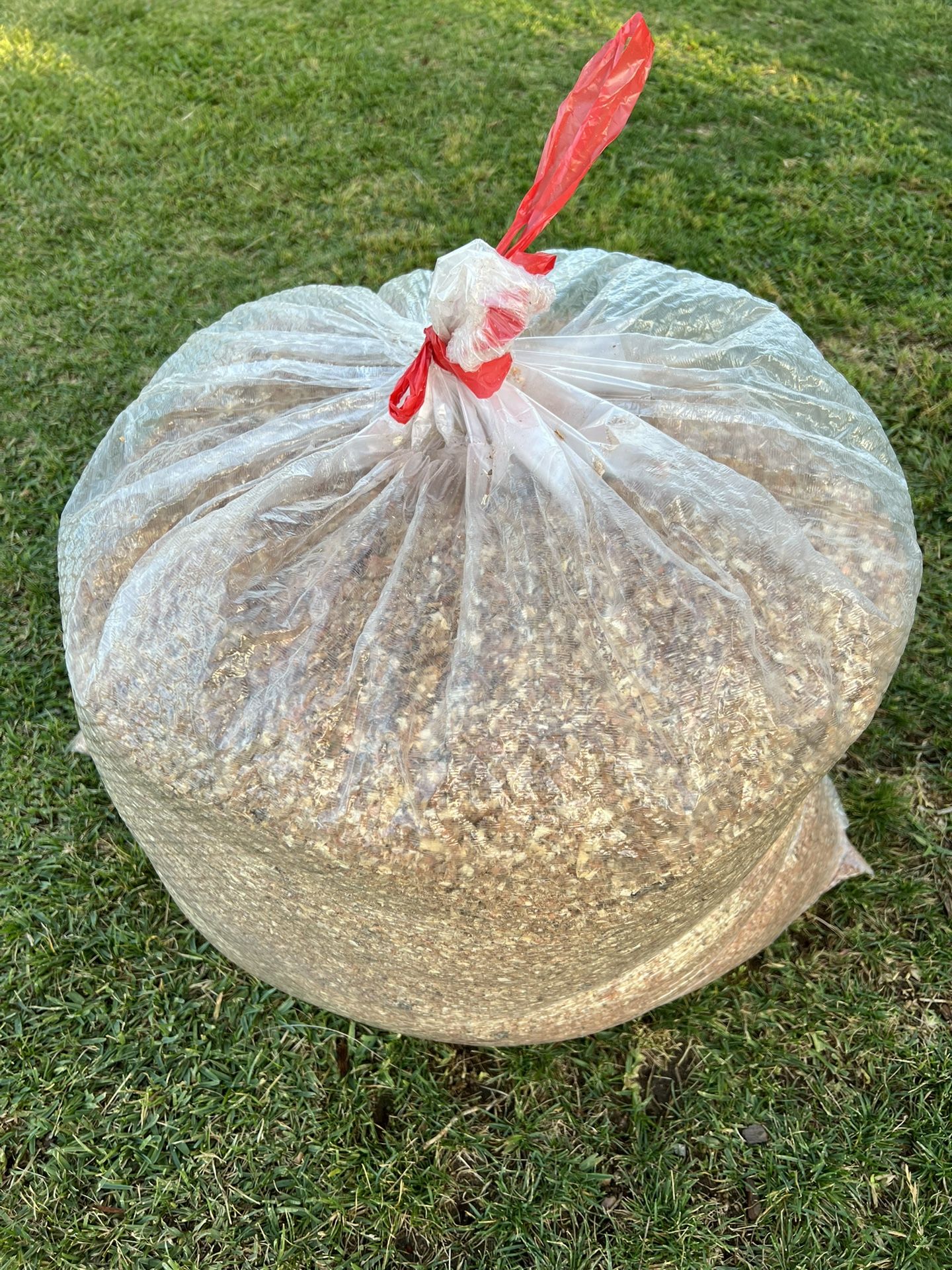 Saw Dust/ Acerrin (Natural)