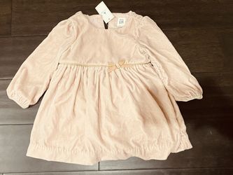 Baby Gap Light Pink Velvet Dress 12-18 Months