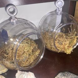 Hangjng Sphere Planters