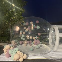 Bubble House 