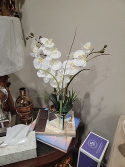 Flowers And Lamps 
