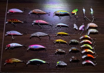 Bass / Trout Lures