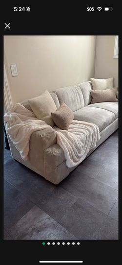 Beige Sofa Couch So Soft