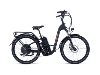 Rad Power Electric Bike