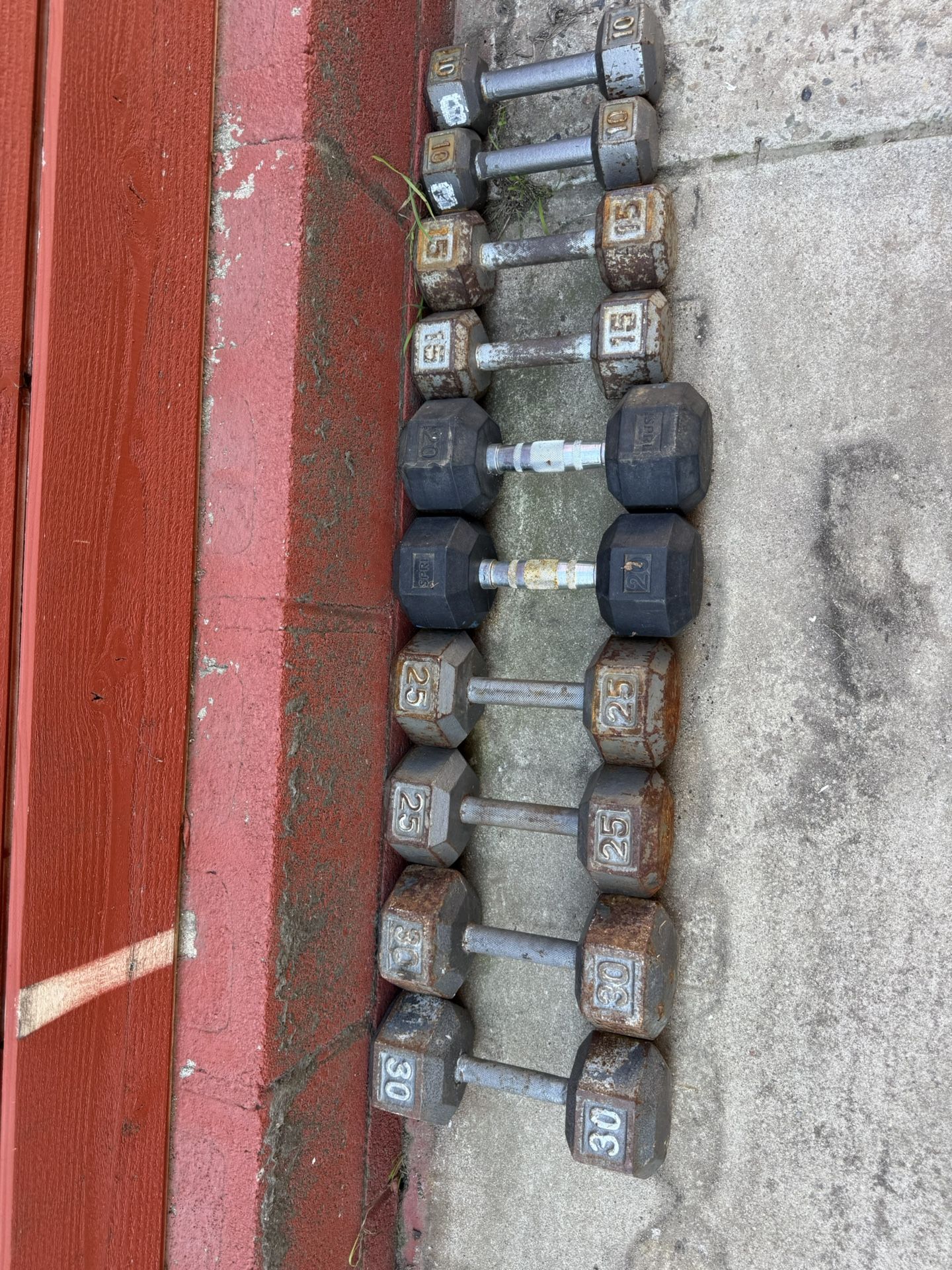 10-30 Lbs Dumbbell Weights 