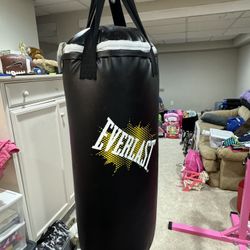 Punching Bag With Gloves