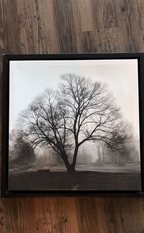 Canvas Tree with black framed border
