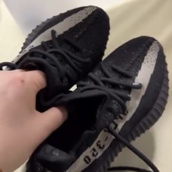 Yeezy 350