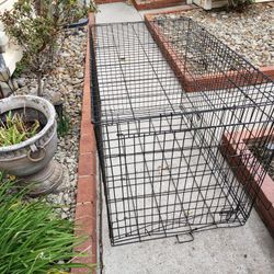 Dog Cage