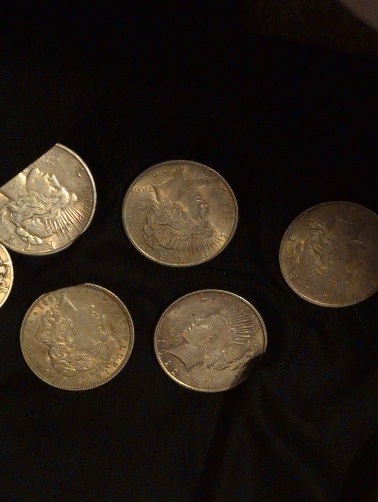 5 Morgan Silver Dollars