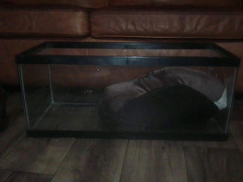 Reptile Cage 