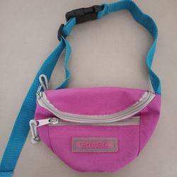 Embark Fanny Pack-New Condition 
