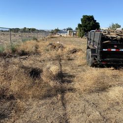Tractor & Weed & Junk