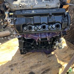 2005 Honda Odessy Motor 