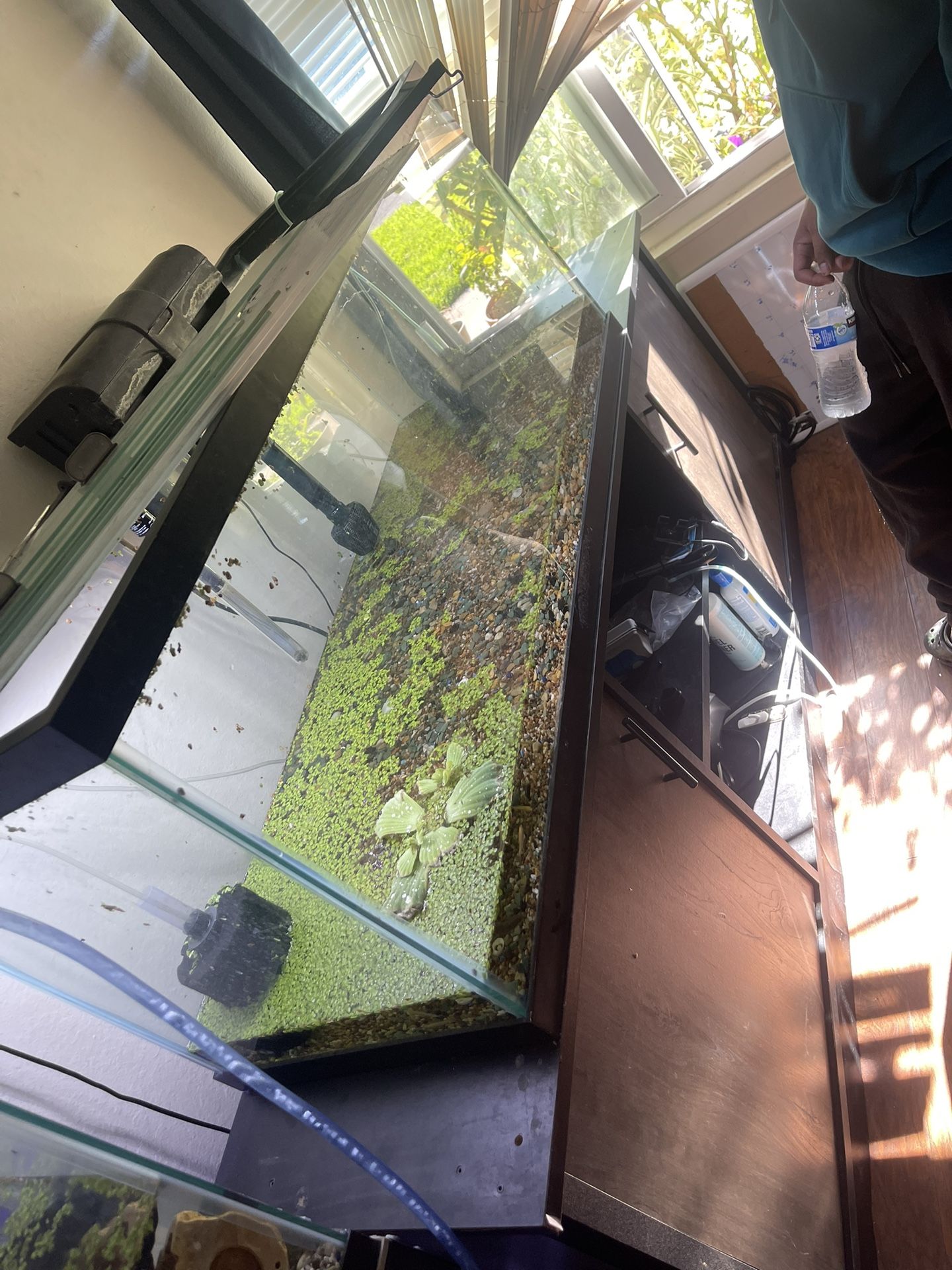 Fish Tank And Stand 