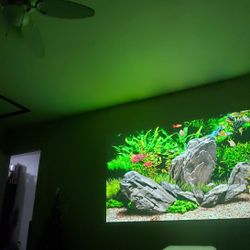 Epson Epiqvision LS300 Laser Projector 