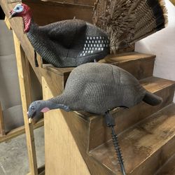 Decoy Turkeys