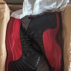 Jordan Flu Game 12