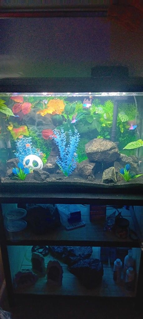 Fish Tank Full Of Fish And Plants Black Subtrate 70 Lbs Of Black Obsidian Rock Awesome New High QualityFilterqr Net A Syphon Syphon Sechem And Food