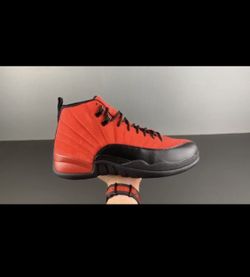 Jordan retro 12