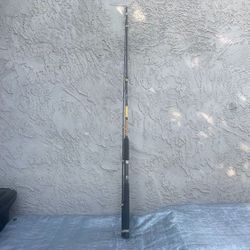 Ugly Stik Bigwater Conventional Rod, 9' Light Fishing Rod,