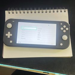Nintendo switch lite Grey