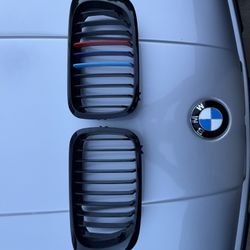 BMW E46 Grills