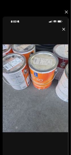 Solo paint $15 each