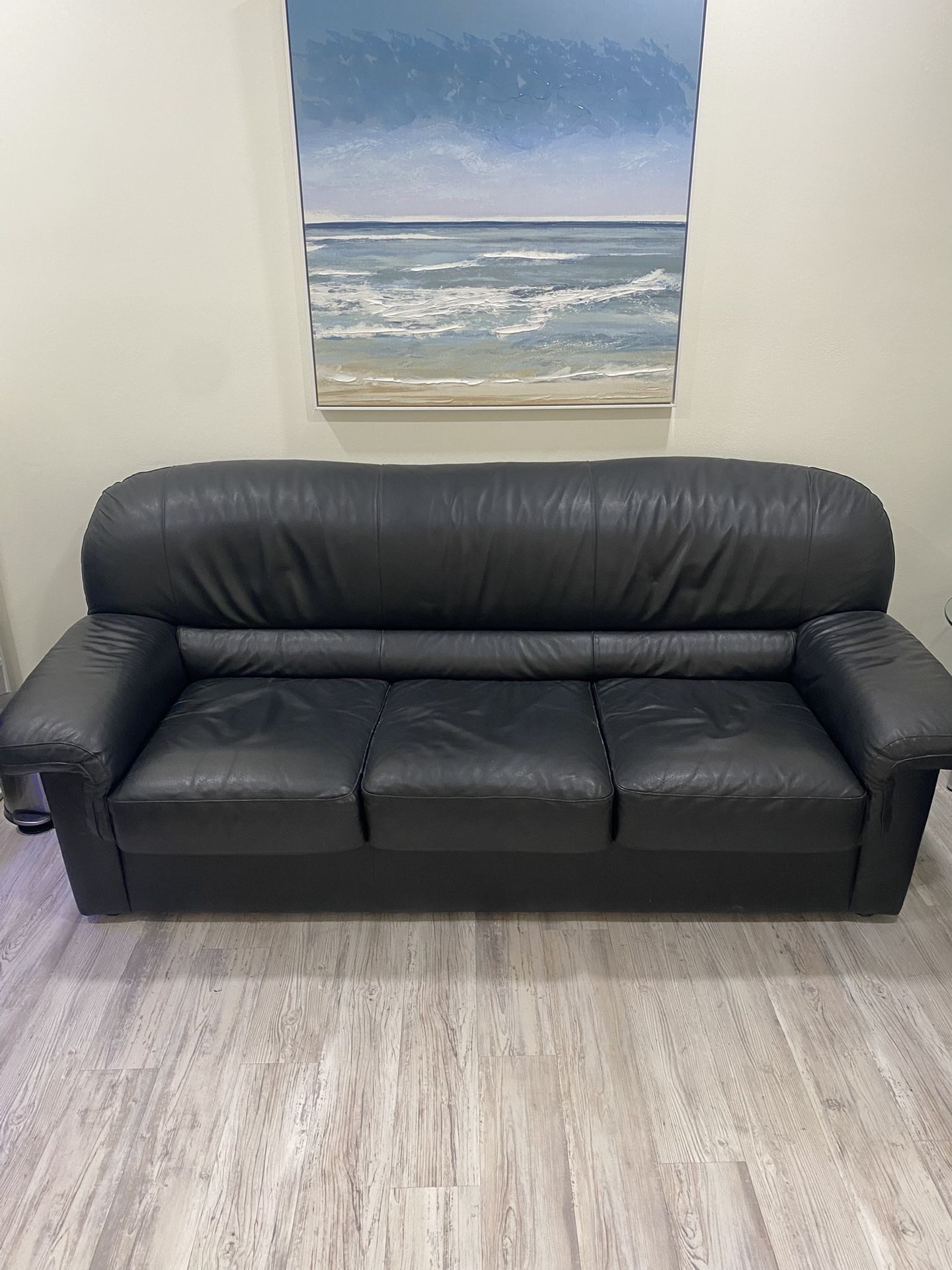 Black Real Leather Couch