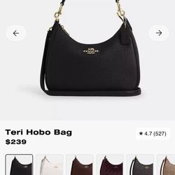 Terri Hobo Coach Bag