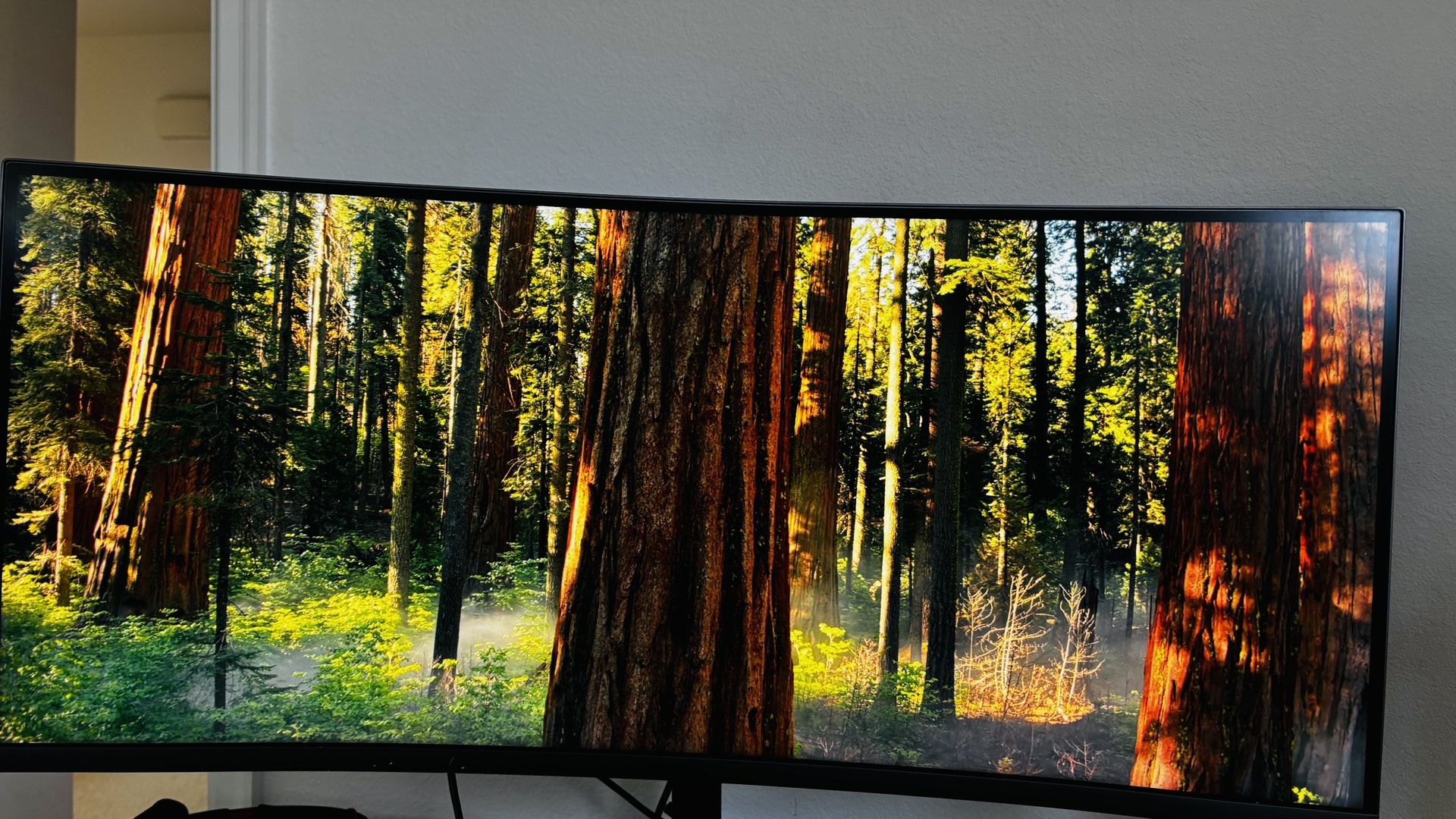 Samsung 34" Curved Monitor C34H890WGN