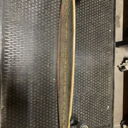 Santa Cruz Longboard