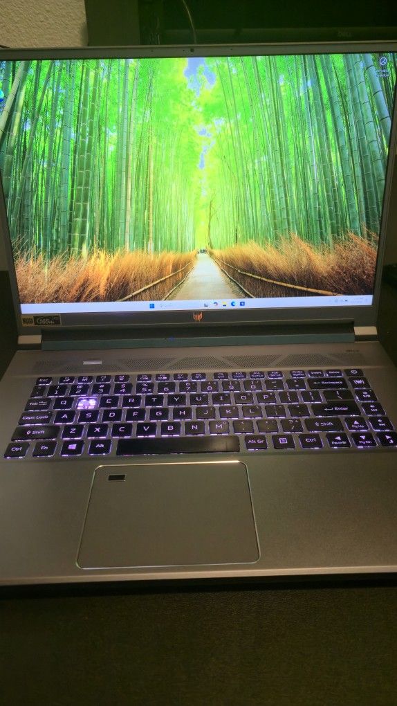 Acer Predator Triton 500 SE