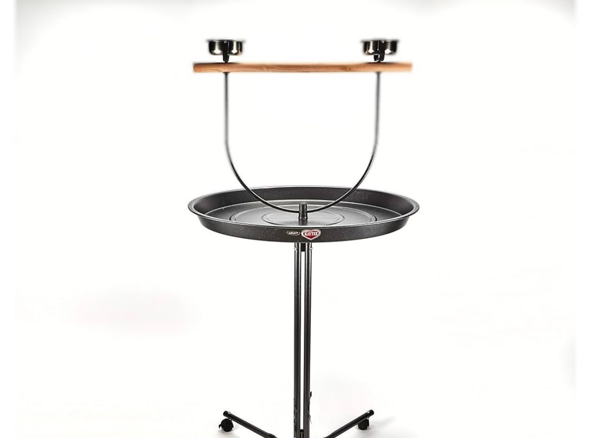 big parrot bird stand