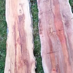 Yew Wood Live Edge Slabs