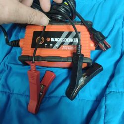 Battery Charger. 2 Amp waterproof 